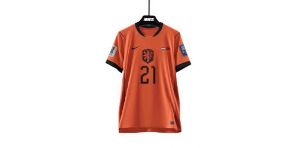 Niederlande und Marokko 1-1